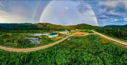 Kabupaten Konservasi Tambrauw: Penjaga Alam Kita